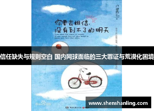信任缺失与规则空白 国内网球面临的三大罪证与荒漠化困境